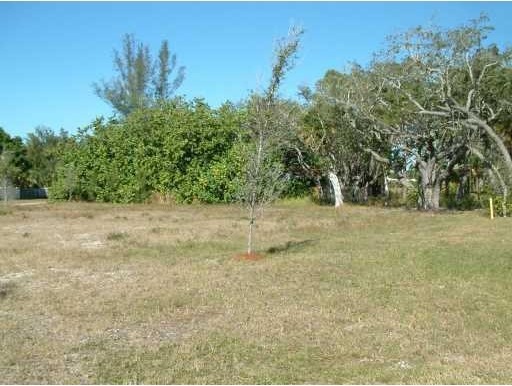 Land For Sale: 625 Neptune Ave..