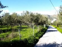 Crete Kalyves Land For Sale - 2
