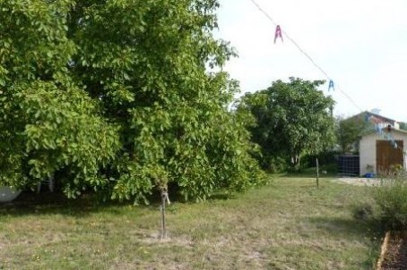 Stone House For Sale St Jean D Angely - 2