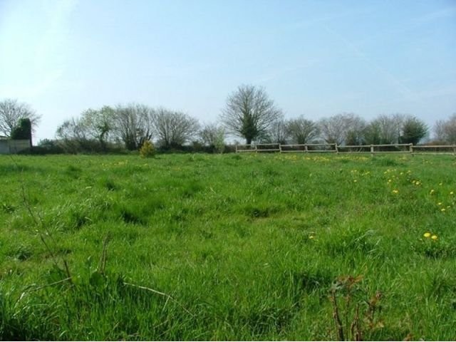 Large Property, B&B Potential - 2