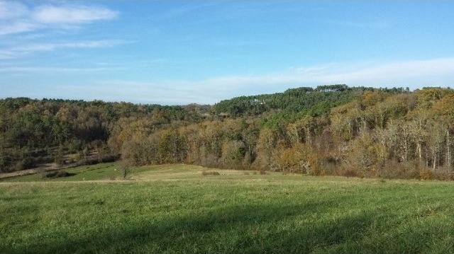 27262 - Vente - Terrain - Vergt