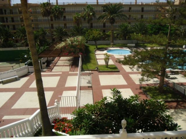 Achacay, Los Cristianos, Tenerife.. - 2