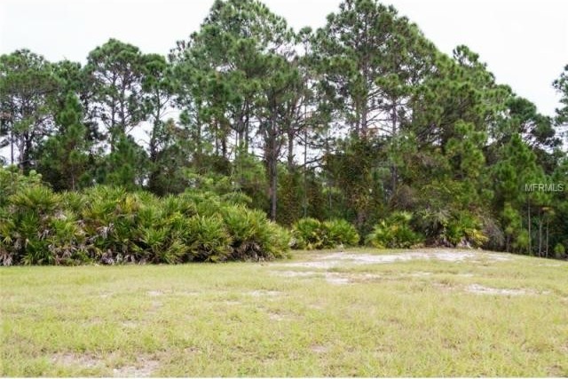 Land For Sale: 63 Pine Valley Pl..