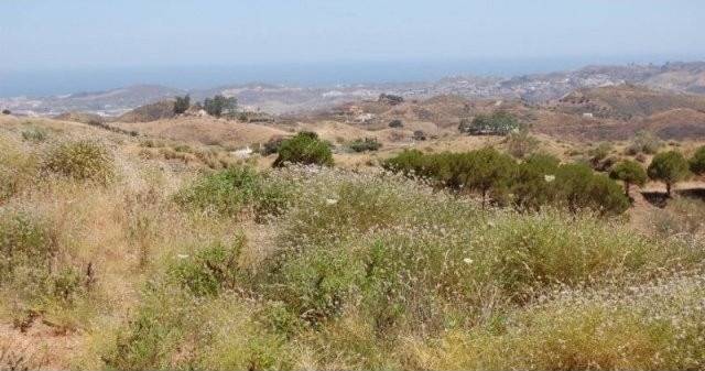 Land - BUILDING PLOT IN THE POPULAR..