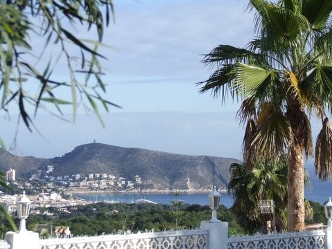 Land - For Sale
