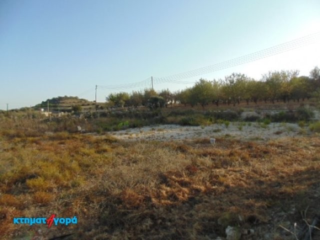 Agricultural Land in Armou, Pafos - 2
