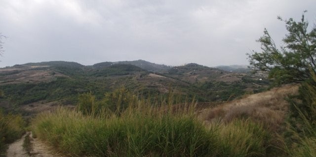 Agricultural land for sale in Italy..