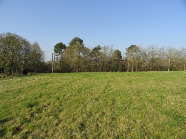 25146 - Vente - Terrain - Vergt - 2