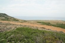 Crete Beachfront Land For Sale - 2