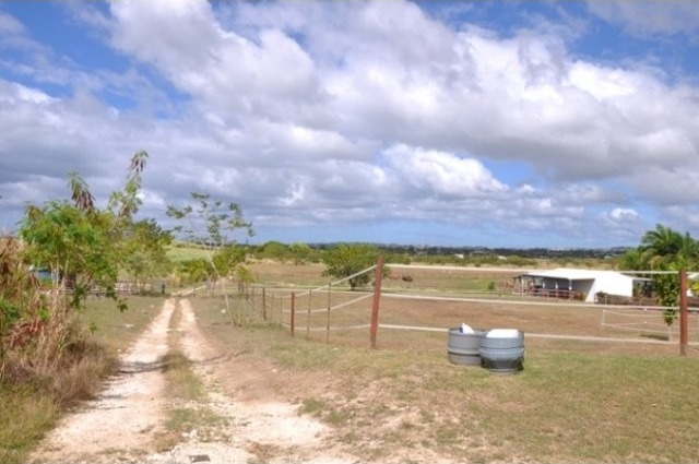 Property For Sale: Premier Stud Farm..
