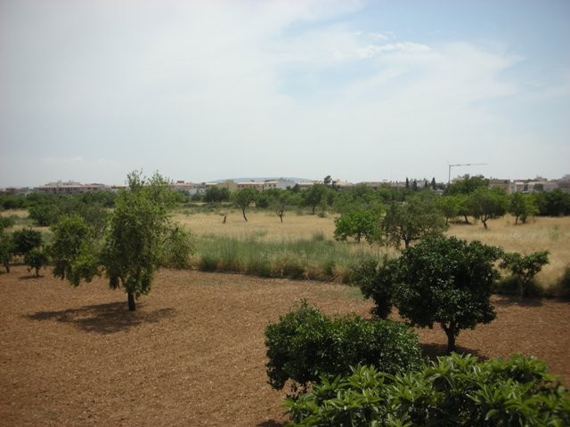 3 Bedrooms - Finca - Islas Baleares -..