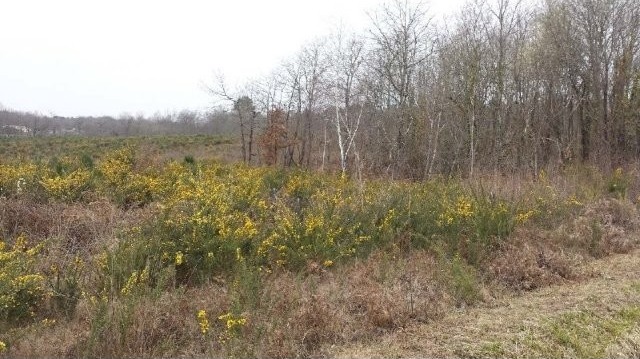 28055 - Vente - Terrain - Vergt - 2