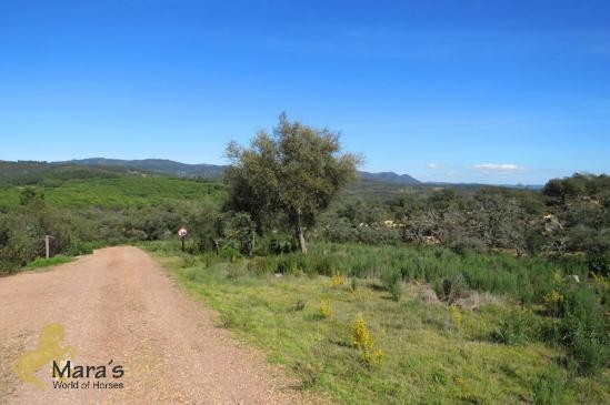 luxury B&B near Aracena Huelva.. - 2