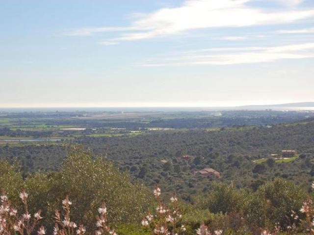 Plot with views until the Bay of Palma..