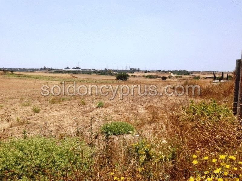 Sold on Cyprus - 2