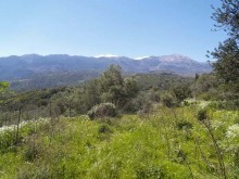 Crete Plot For Sale