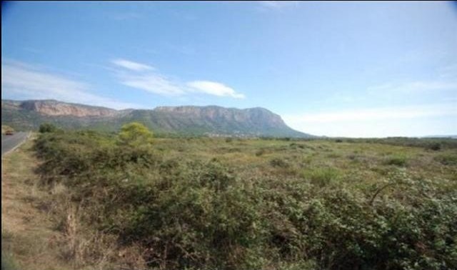 Plot For Sale Jesus Pobre - Ref: 1838 - 2
