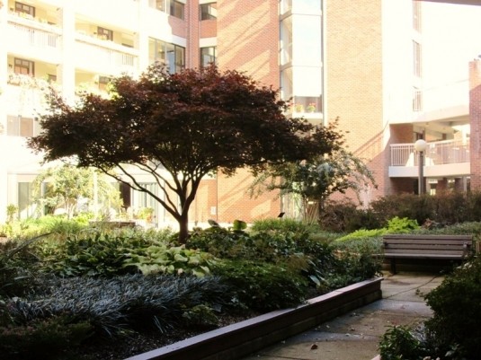 Apartment, Reston, United States - 2