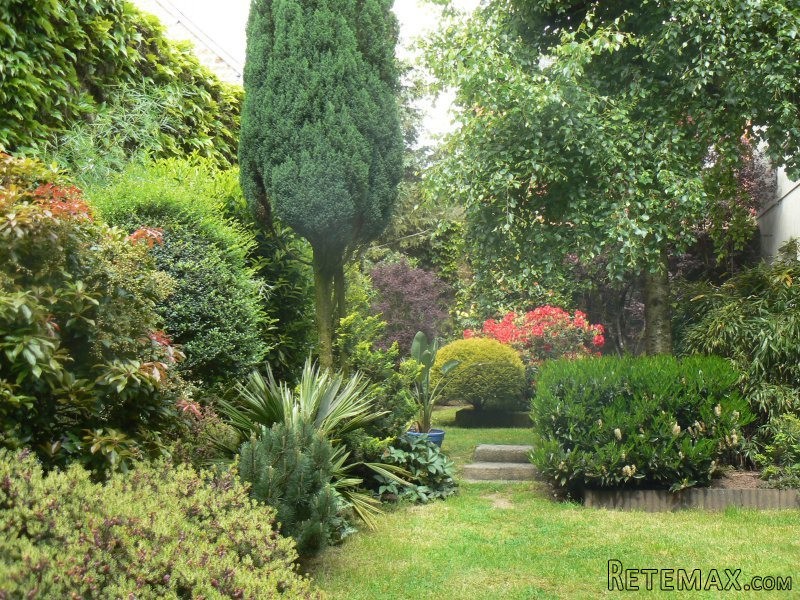 Lovely Village House with Garden - 2