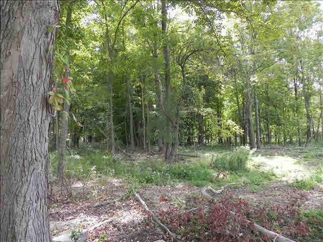 Land For Sale: Gallatin, New York