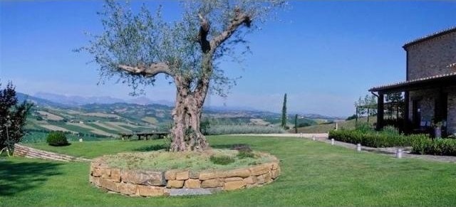8 bedroom House For Sale: Cupra.. - 2