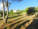- Land - For Sale - 2