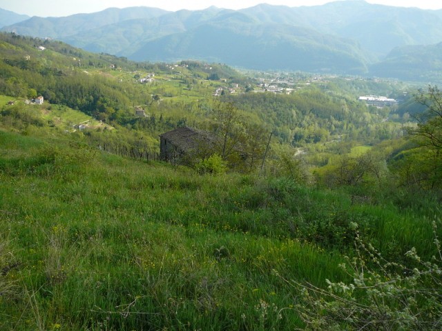 Country/farmhouse - For Sale -..