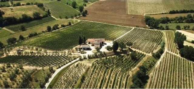 Farm For Sale: Montepulciano