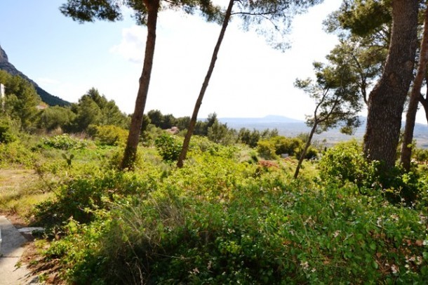Plot Javea 4 - Javea
