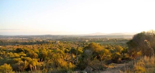 Plot with panoramic views in San.. - 2