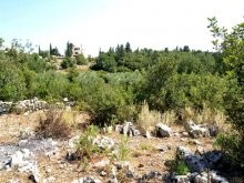 Crete Land For Sale In Countryside - 2