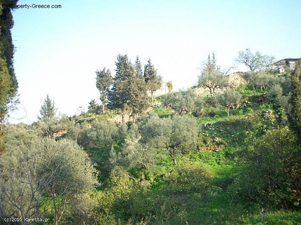 Land - Zakynthos - For Sale - 2