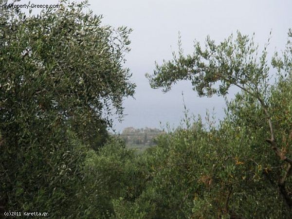 2 Bedrooms - Villa - Zakynthos - For.. - 2