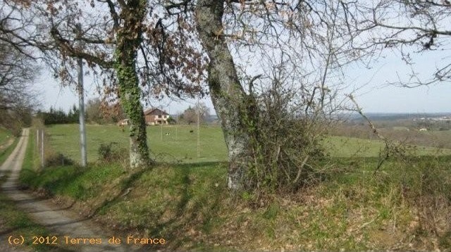 *country Estate On Unique Location*..