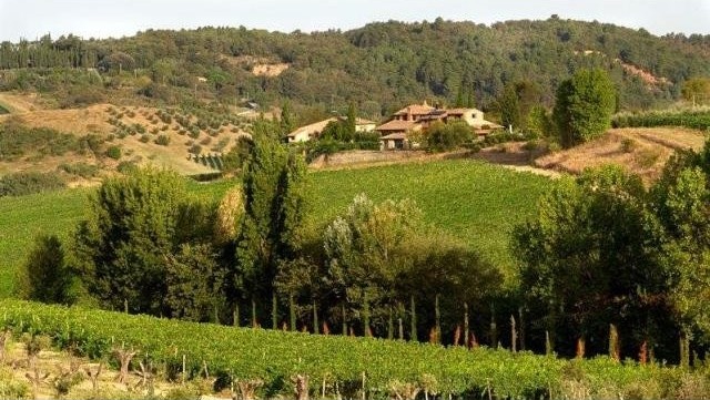 6 bedroom Farm House For Sale:.. - 2
