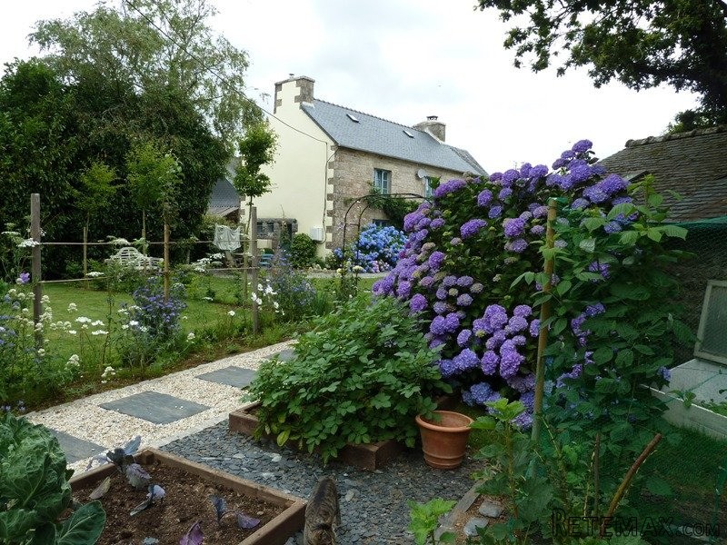 Detached Stone Built Restored Farmhouse - 2
