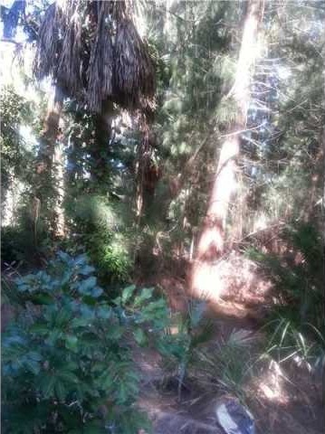 Land For Sale: Midnight Pass Rd.. - 2