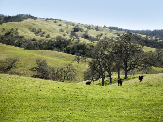 Rana Creek Ranch - 2