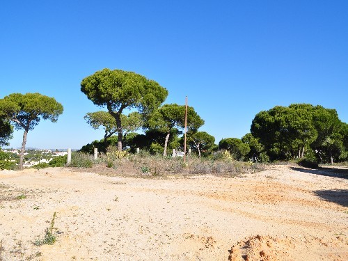 Good size plot in Vale do Lobo, Ocean.. - 2