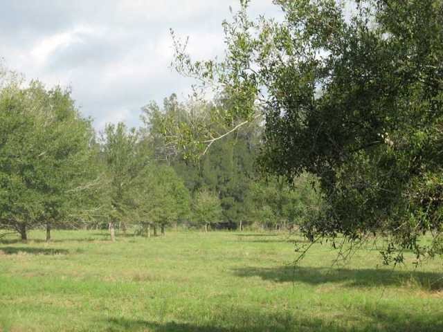 Land For Sale: VERO BEACH - 2
