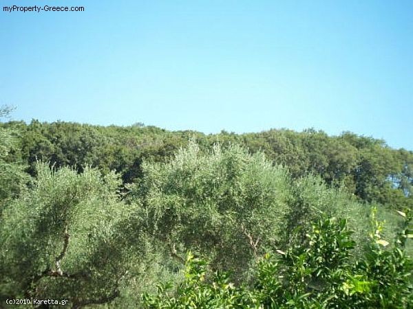 Land - Zakynthos - For Sale - 2