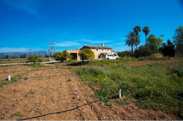 Finca In Marratxi
