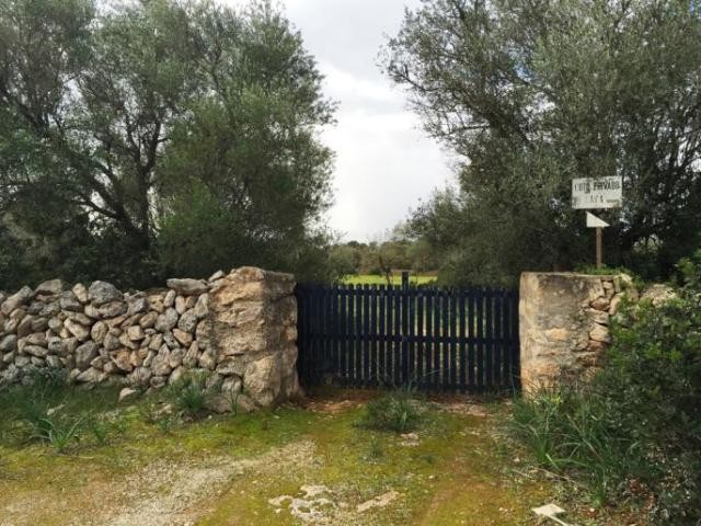 Land with ruin and high privacy in..