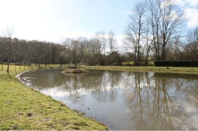 Lake with Island For Sale - 2