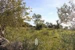 Real estate, Mallorca, beautiful plot..