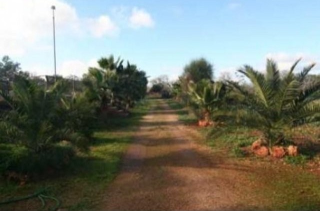 Reformed Finca In A Beautiful Rustic.. - 2