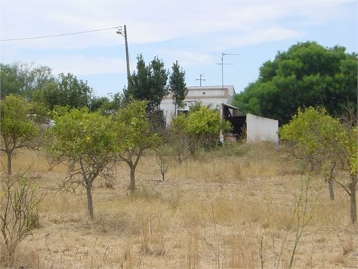 Plot - Silves - Algarve - for sale - 2