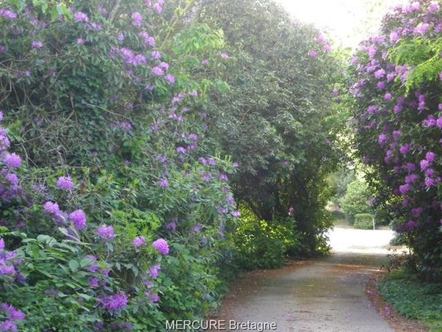 9 bedroom Manor House For Sale: 56530.. - 2