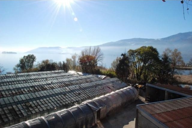 9 bedroom Cottage For Sale: Verbania, IT - 2