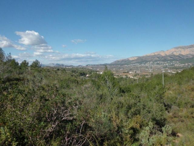 Plot in Javea
